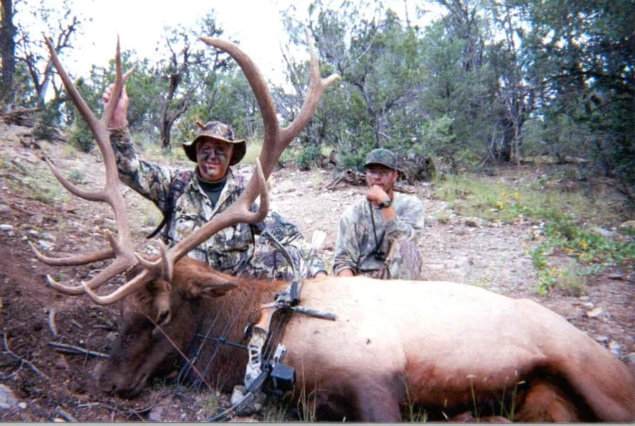 Archery elk hunting in New Mexico